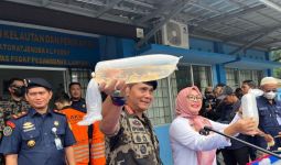 KKP Menggagalkan Penyelundupan 52 Ribu Benih Lobster Setara Rp 7,8 Miliar di Lampung - JPNN.com