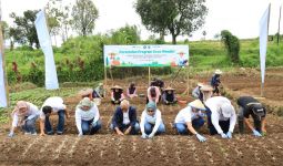 TJSL PELNI Resmikan Desa Mandiri Penghasil Sayur di Cianjur - JPNN.com