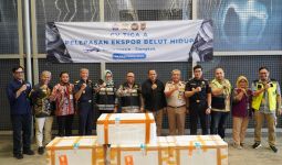 Bea Cukai Melepas Ekspor 13 Ribu Ekor Belut Sawah Hidup Asal Banjarmasin ke Tiongkok - JPNN.com