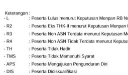 Honorer Bingung dengan Kode Kelulusan PPPK Tahap 1, Penjelasan BKN Bisa Membantu - JPNN.com