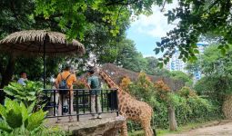 Pungli Parkir di Kebun Binatang Bandung, Bus Pariwisata Digetok Tarif Rp 150 Ribu  - JPNN.com