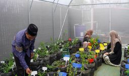 Resmikan Greenhouse, KEHATI Dorong Pelestarian Tanaman Herbal di Ponpes - JPNN.com