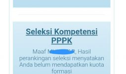 Akun SSCASN Peserta Kode R2 Tetiba Berubah, Tanda PPPK Paruh Waktu? - JPNN.com