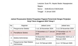 Pendaftaran PPPK 2024 Tahap 2 Diperpanjang Hingga 15 Januari, Rekor Terlama 2 Bulan Saja - JPNN.com