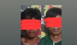 2 Pelaku Pencurian Kelapa Sawit di Kebun PT. SBAL Ditangkap - JPNN.com