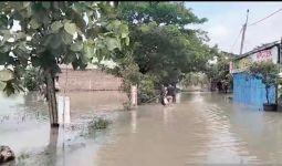 Banjir Merendam Ratusan Hektare Sawah di Sragen - JPNN.com