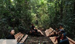 7 Warga Jabar Ditangkap di Riau Gegara Merusak Hutan Lindung SM Rimbang Baling - JPNN.com