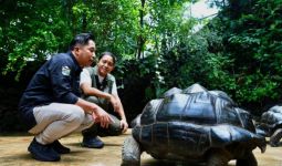 Temui Irfan Hakim di Bekasi, Menhut Raja Juli: Mengharukan - JPNN.com