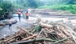 Diterjang Banjir, Jembatan Antardusun di Situbondo Terputus, Ratusan KK Terisolasi - JPNN.com