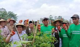 Pertanian Hortikultura Itikurih di Garut Tumbuhkan Ekonomi Mandiri Masyarakat - JPNN.com