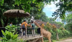 Begini Nasib Kebun Binatang Bandung Seusai Disita Kejaksaan - JPNN.com