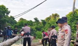 Seorang Pelajar Tewas Tertimpa Pohon Tumbang di Gilimanuk - JPNN.com