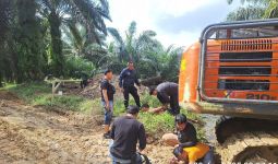 Polisi Tangkap Penggarap Hutan Lindung di Inhu, 1 Orang Jadi Tersangka - JPNN.com