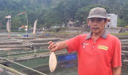 Ribuan Ikan Keramba di Telaga Ngebel Ponorogo Mati Mendadak - JPNN.com