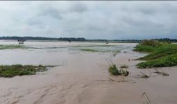 Ribuan Hektare Sawah Milik Warga di Lampung Selatan Terendam Banjir - JPNN.com