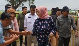 Kementan Tinjau Lokasi Climate Smart Agriculture di Subang - JPNN.com