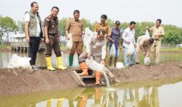 Ribuan Benih Bandeng Ditebar di Pasuruan Untuk Dukung Ketahanan Pangan - JPNN.com