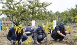 Hijaukan Pesisir, PNM dan Sukarelawan BUMN Tanam 1.000 Mangrove - JPNN.com