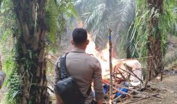 Polres Bungo Bakar 11 Titik Lubang Tikus Tambang Emas Ilegal - JPNN.com