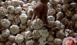 KPPU Pantau Kenaikan Harga Bawang Putih - JPNN.com