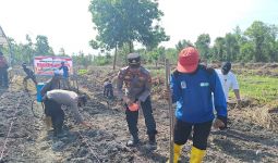 Dukung Ketahanan Pangan, Polisi dan SRPO Tanam Jagung di Dumai - JPNN.com