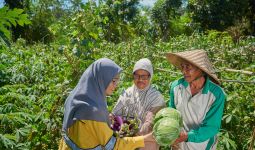 PT STM Pacu Pertanian Organik Perusahaan, Hasil Panen Petani Melimpah - JPNN.com