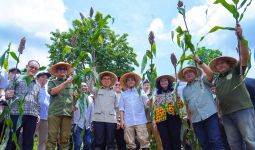 Menhut Sebut Sorgum Tanaman Ajaib untuk Ketahanan Pangan - JPNN.com