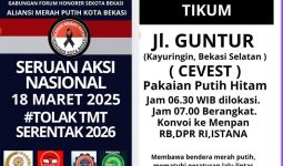 Pemda Tolak Penundaan Pengangkatan PPPK 2024, Honorer Mantap Ikut Aksi Nasional 18 Maret - JPNN.com