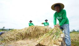 Lumbung Pangan Sukabumi Suplai 133,7 Ton Beras Zakat Fitrah - JPNN.com