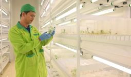 EWINDO Bakal Resmikan Fasilitas Penelitian & Pengembangan Baru Benih Hortikultura - JPNN.com
