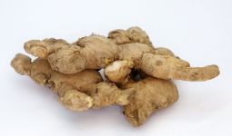 7 Perbandingan Herbal Lokal dan Obat Kimia untuk Batuk yang Perlu Anda Ketahui - JPNN.com