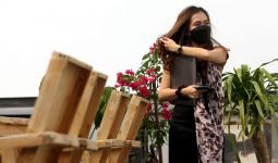 7 Manfaat Rutin Mengonsumsi Jamu Tradisional untuk Kulit yang Bikin Kaget - JPNN.com