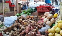 6 Teknik Pengeringan Herbal yang Benar untuk Mendapatkan Hasil Maksimal - JPNN.com
