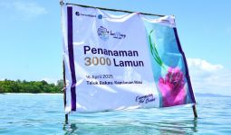 Jaga Ekosistem Laut, PIS Tanam 3.000 Bibit Lamun di Teluk Bakau - JPNN.com