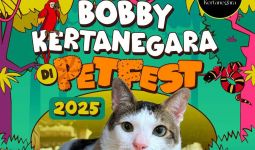 Bobby, Kucing Presiden Prabowo Jadi Juri di Petfest Indonesia 2025 - JPNN.com
