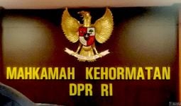 Diduga Mencabuli Anak, Anggota DPR Inisial MM Bakal Dilaporkan ke MKD - JPNN.com