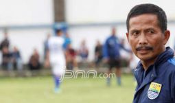 Pelatih Persib Ngaku Punya Catatan Bagus di Pakansari - JPNN.com