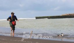 Buaya Muncul di Muara, Turis dan Nelayan Harus Waspada - JPNN.com