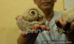Ada Fosil Keong Berusia Jutaan Tahun, Nih Fotonya - JPNN.com