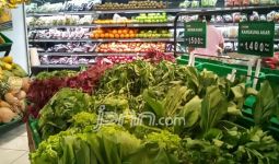 Manfaat Sayuran Hijau Bagi Kesehatan Otak - JPNN.com