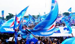 Berlian Tihang Masuk, Kader Demokrat Tergeser - JPNN.com