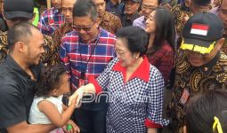Megawati: Alhamdulillah Ahok-Djarot Dapat 43,5 Persen - JPNN.com