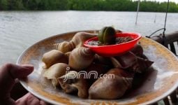 Gelar Paket Religi, Bintan Lagoon Resort Dipenuhi 880 Wisman - JPNN.com