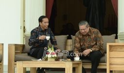 Hmm..Inikah Alasan Pak SBY Ketemu Pak Jokowi di Istana? - JPNN.com