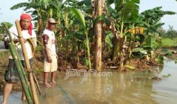 Sawah Terendam Banjir, Petani Lampura Gagal Panen - JPNN.com