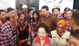 Megawati Ajak Warga DKI Tak Pilih Orang Baru di Pilkada - JPNN.com