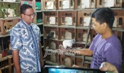 Sambangi Pasar Burung, Anies Terpikat Messi dan Munaroh - JPNN.com