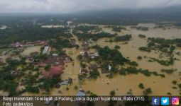 BPBD Padang: Selain Banjir dan Longsor, Pohon Juga Banyak Tumbang - JPNN.com