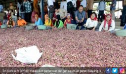 Pembangunan Bendung Karet jadi Solusi Tingkatkan Produktivitas Petani Bawang - JPNN.com