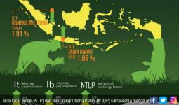 NTP dan NTUP Naik, Bukti Meningkatnya Kesejahteraan Petani - JPNN.com